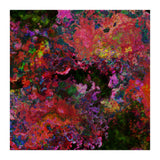 Blooms  (Print Only) thumbnail