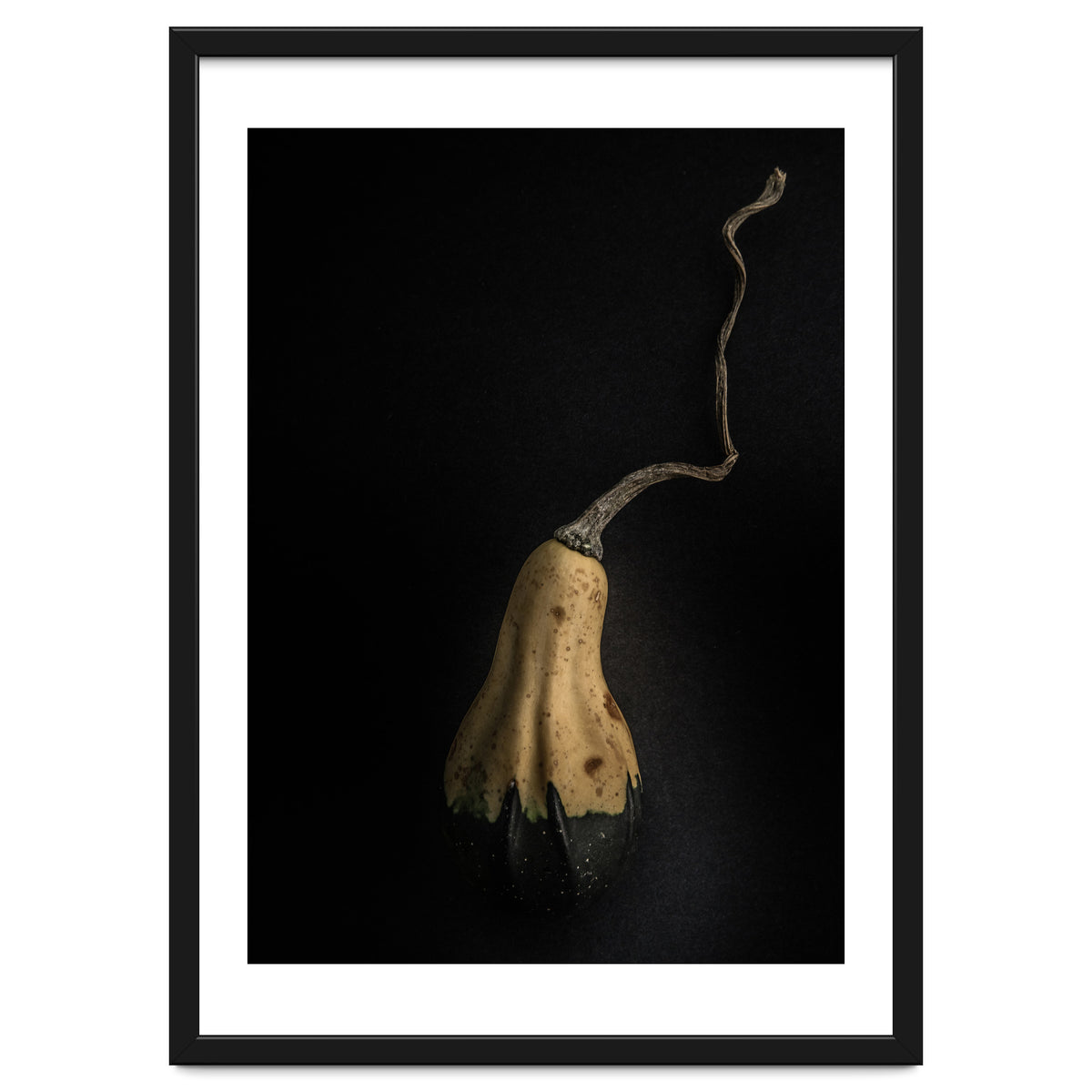 Gourds No 12 Color Version