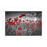 Idyllic Field of Poppies with Sun (Print Only) thumbnail