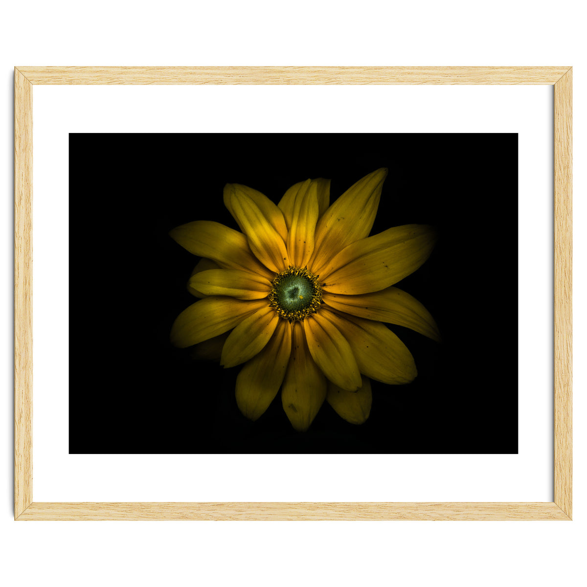 Backyard Flowers No 34 Color Version