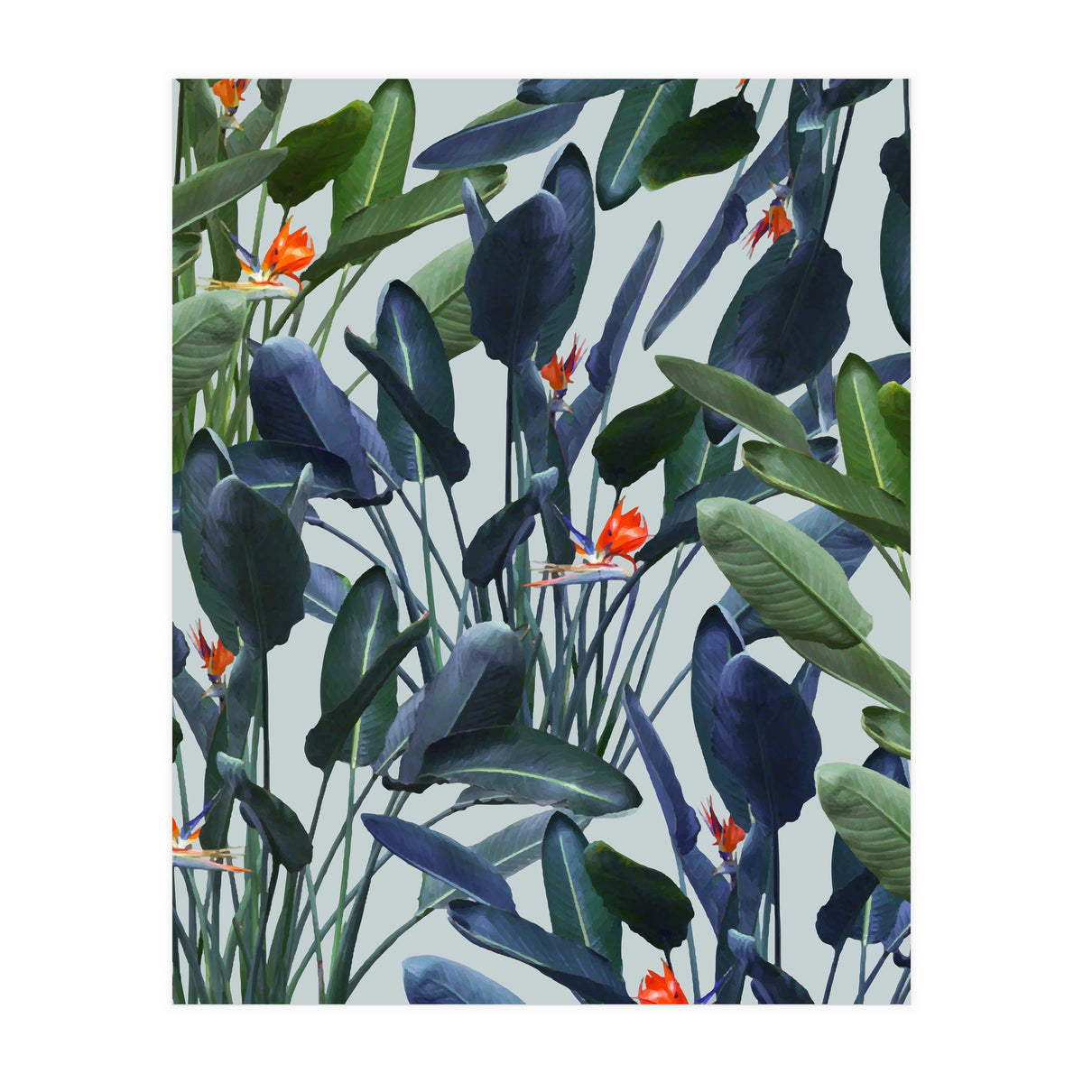 Optical Zen (Print Only)