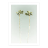 Vintage Palm Trees  (Print Only) thumbnail
