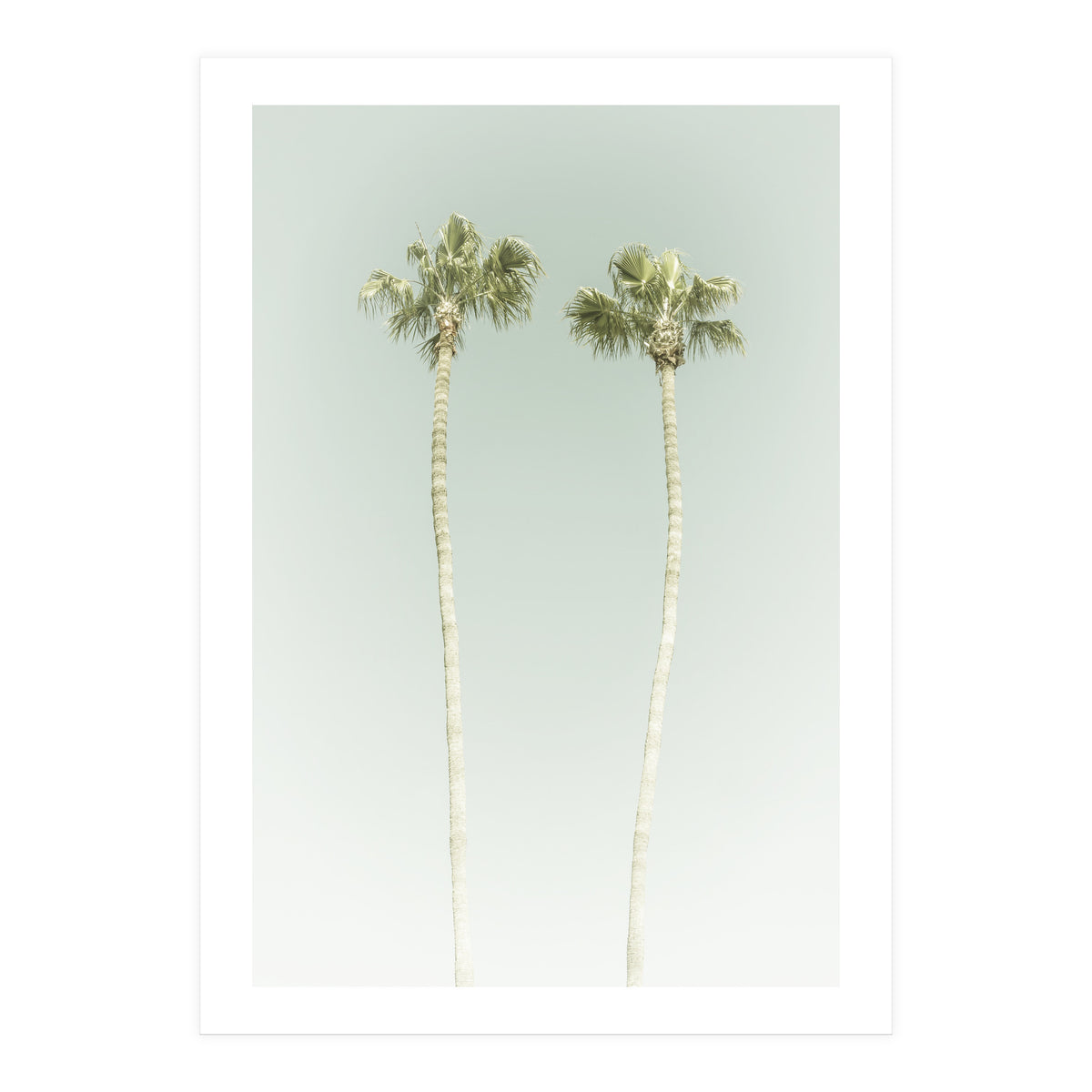 Vintage Palm Trees  (Print Only)