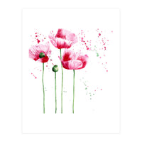Poppies || watercolor (Print Only)