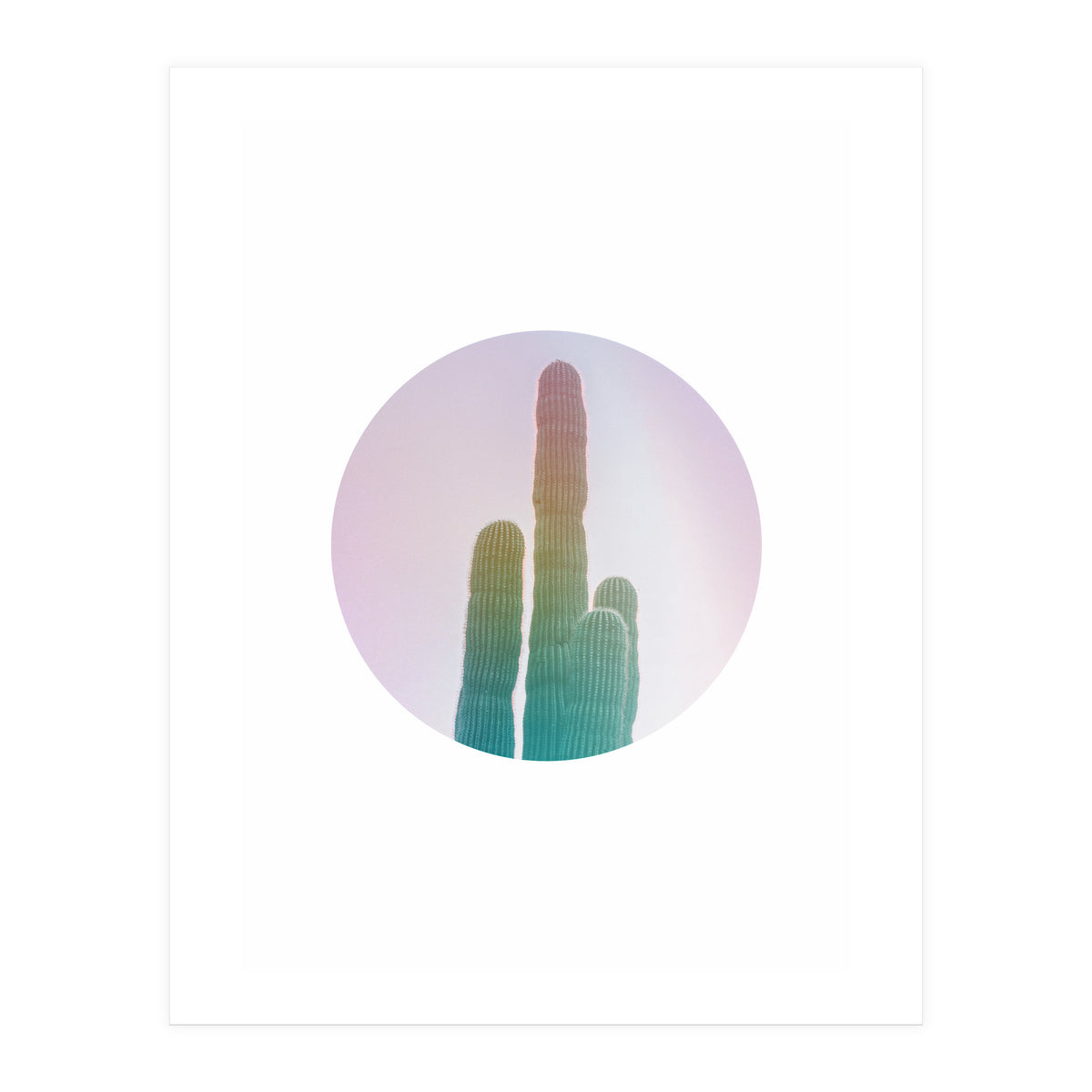 Circular Cacti (Print Only)