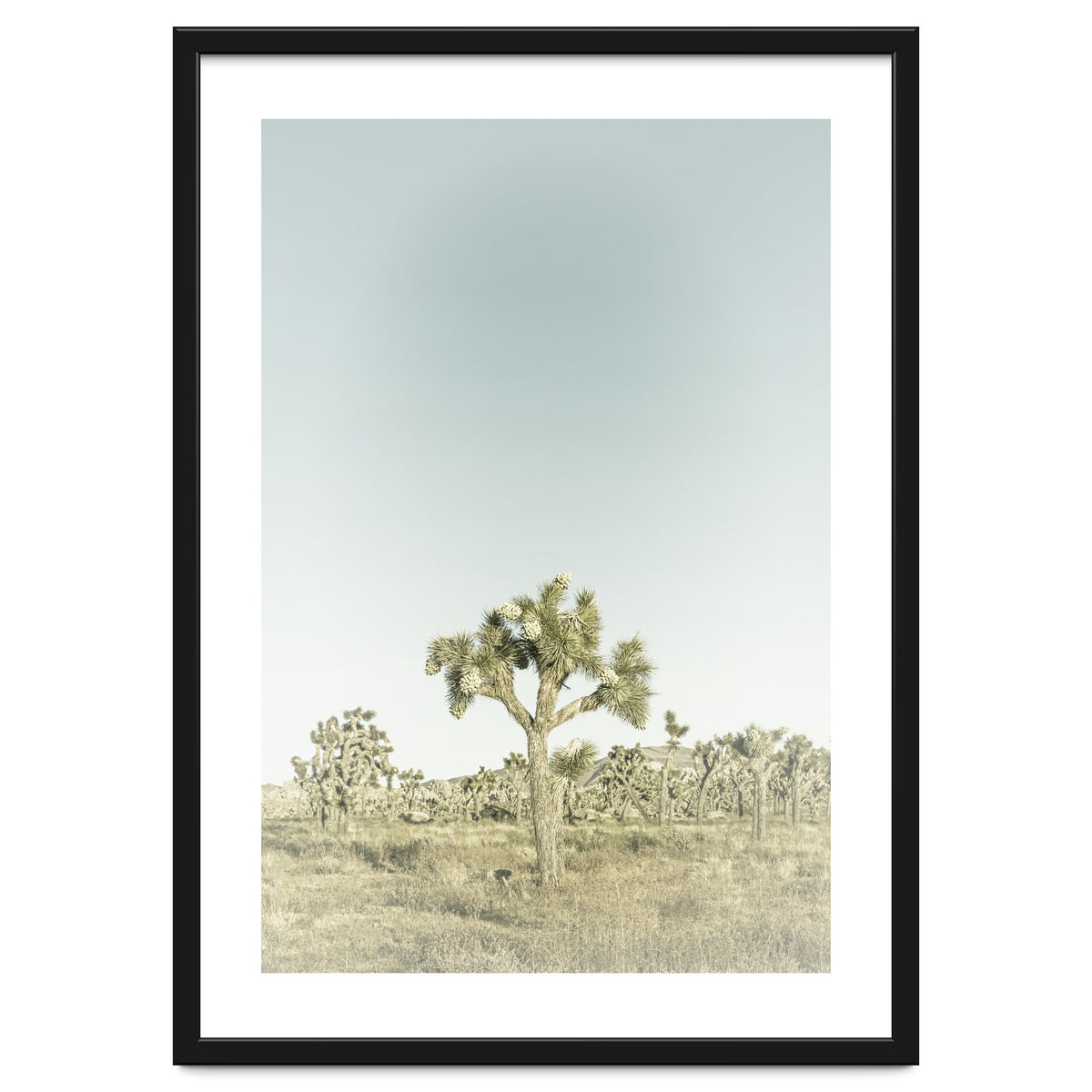 Vintage Joshua Tree