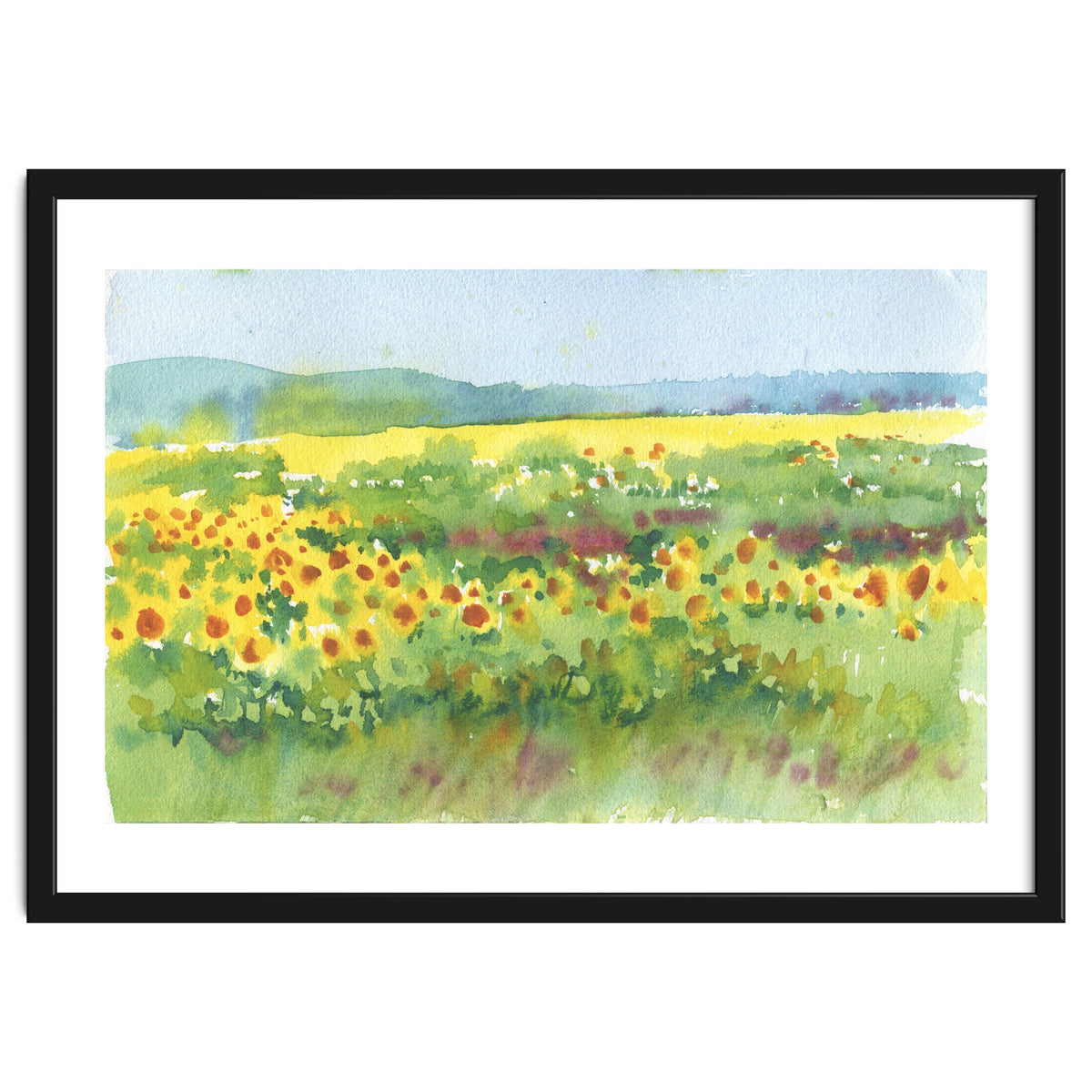 Sunflowers field