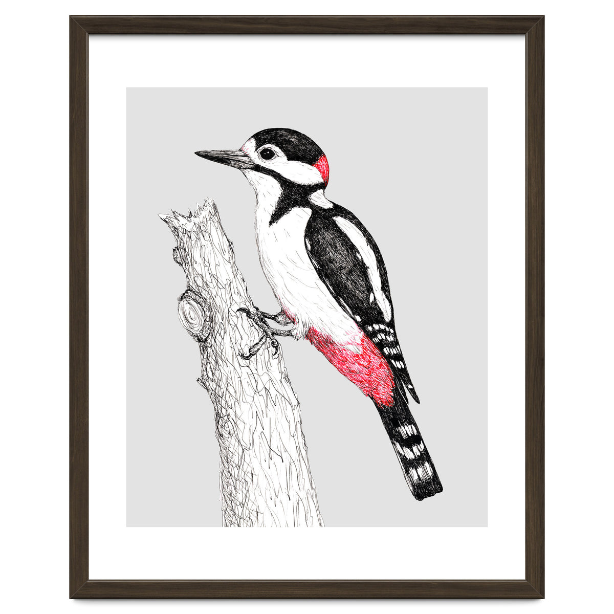 Great spotted woodpecker
