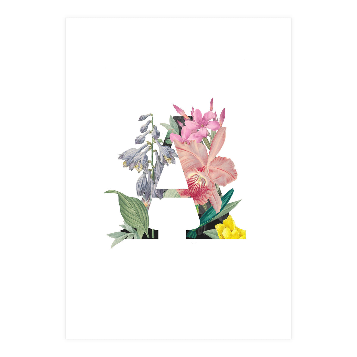 Letter A (Print Only)