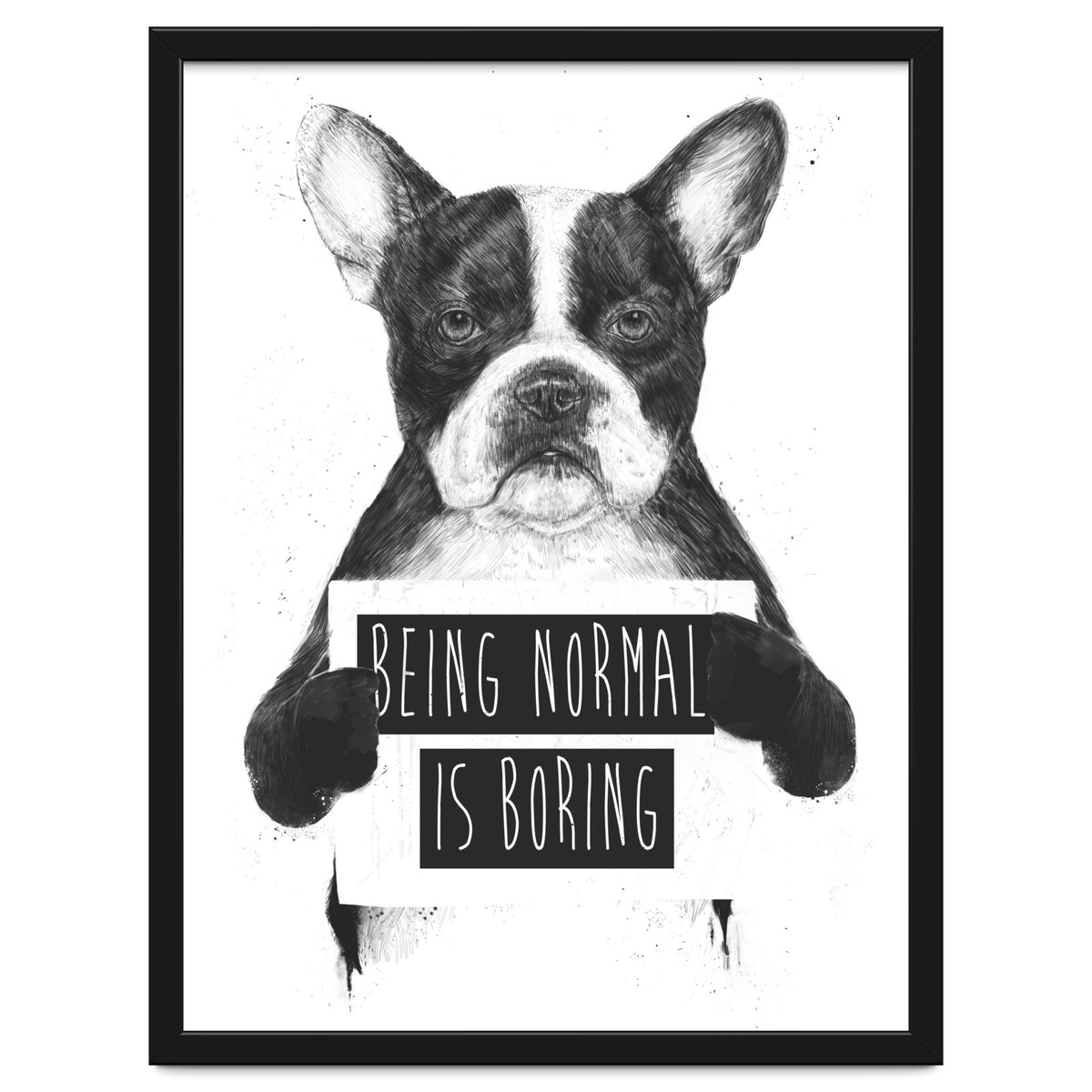 Being Normal Is Boring