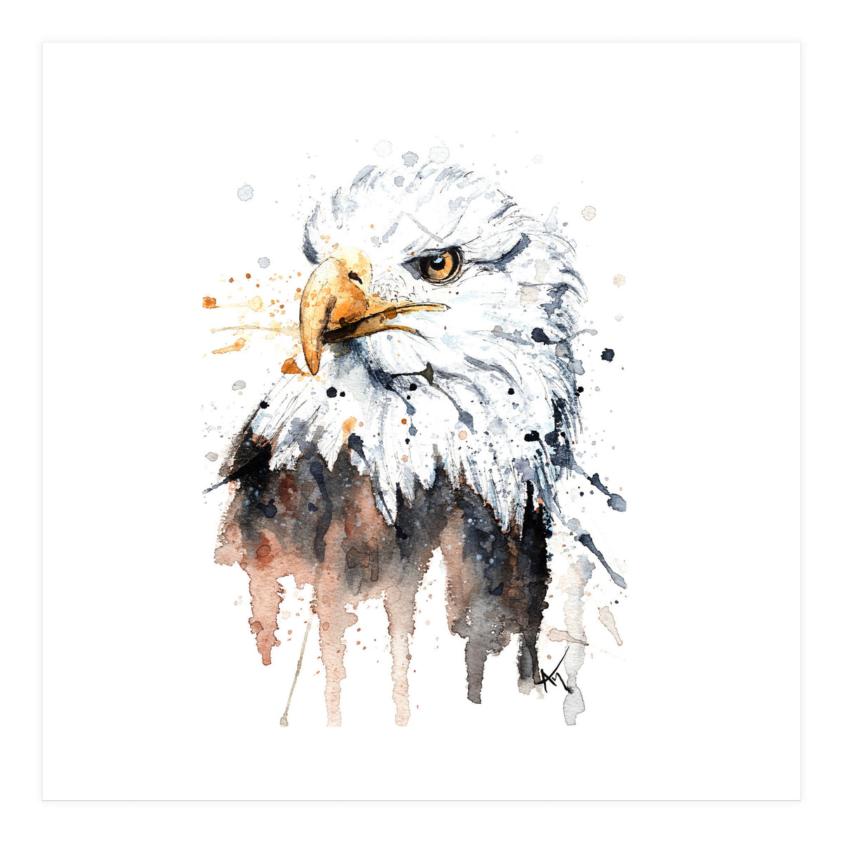 Bald Eagle - Wildlife Collection (Print Only)