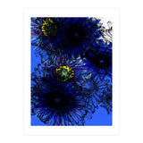 Untitledl 1 (Print Only) thumbnail