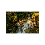 Baker Waterfall (Print Only) thumbnail
