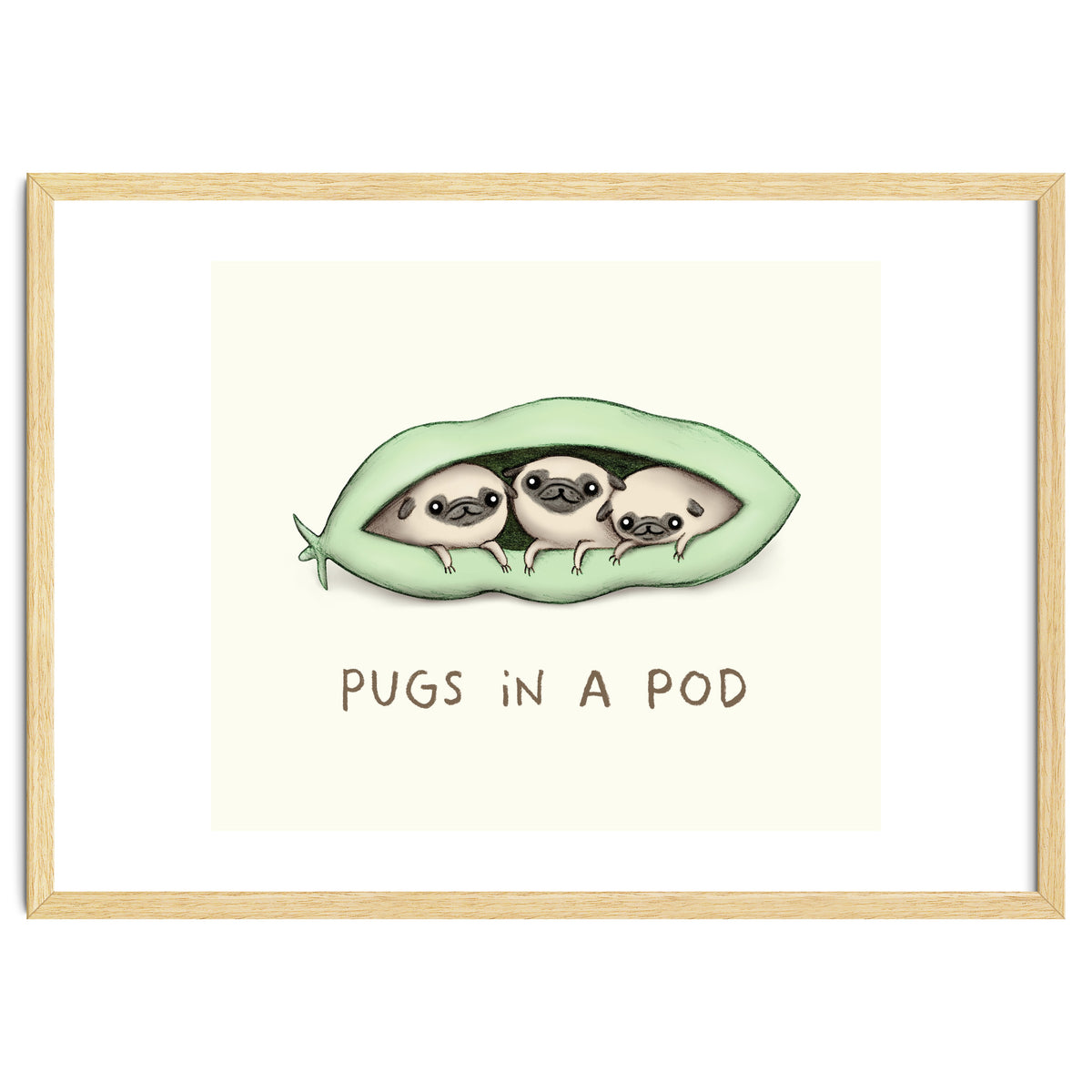 Pugs In A Pod