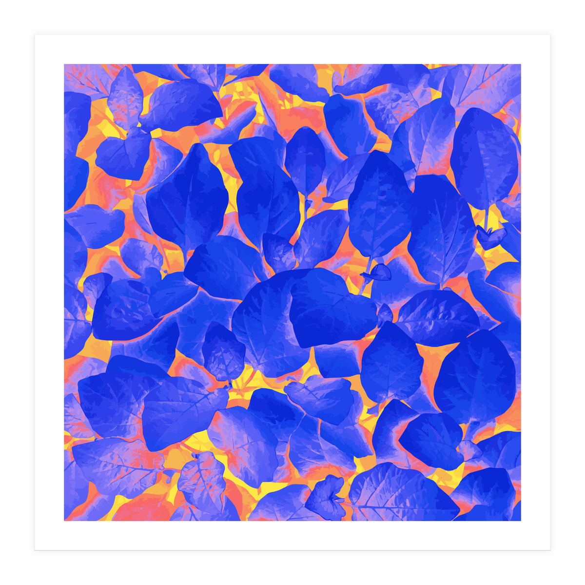 Supercontrast (Print Only)