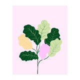 Figleaf (Print Only) thumbnail
