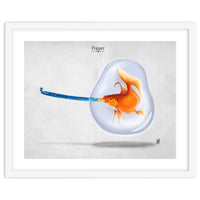 Popper