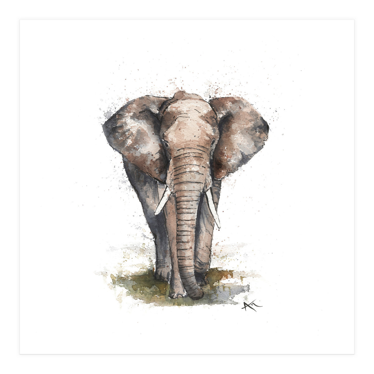 Elephant - Wildlife Collection (Print Only)