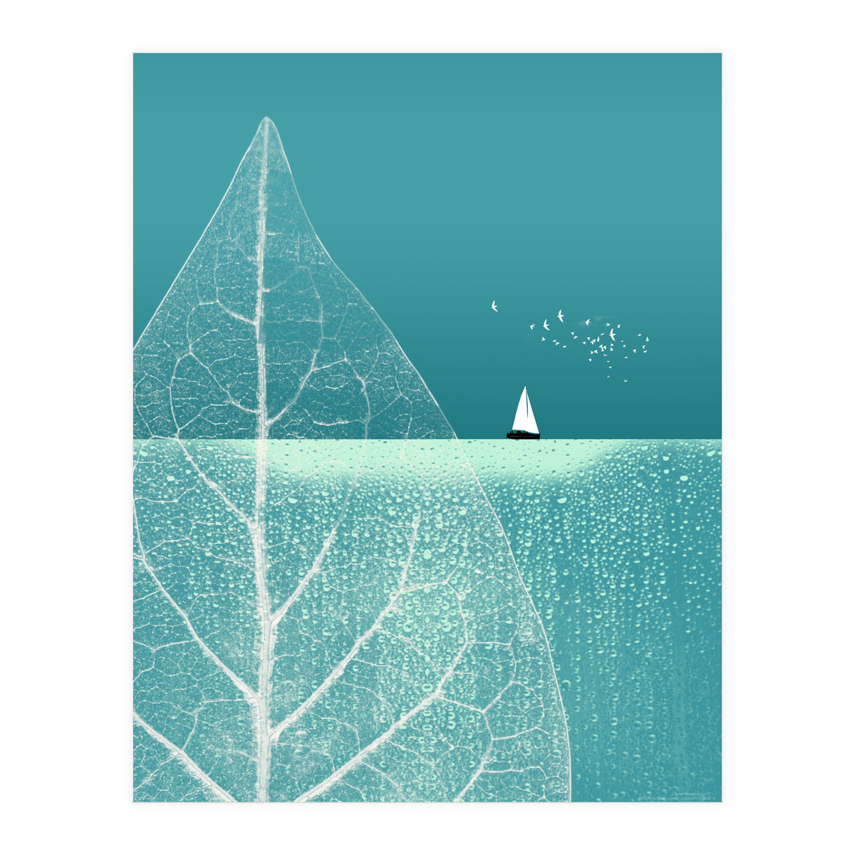 Ocean Wonderland II (Print Only)