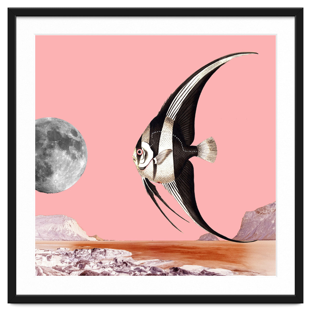 Plenty Of Fish In The Sea Pink