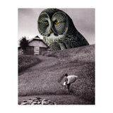 Nocturnal (Print Only) thumbnail
