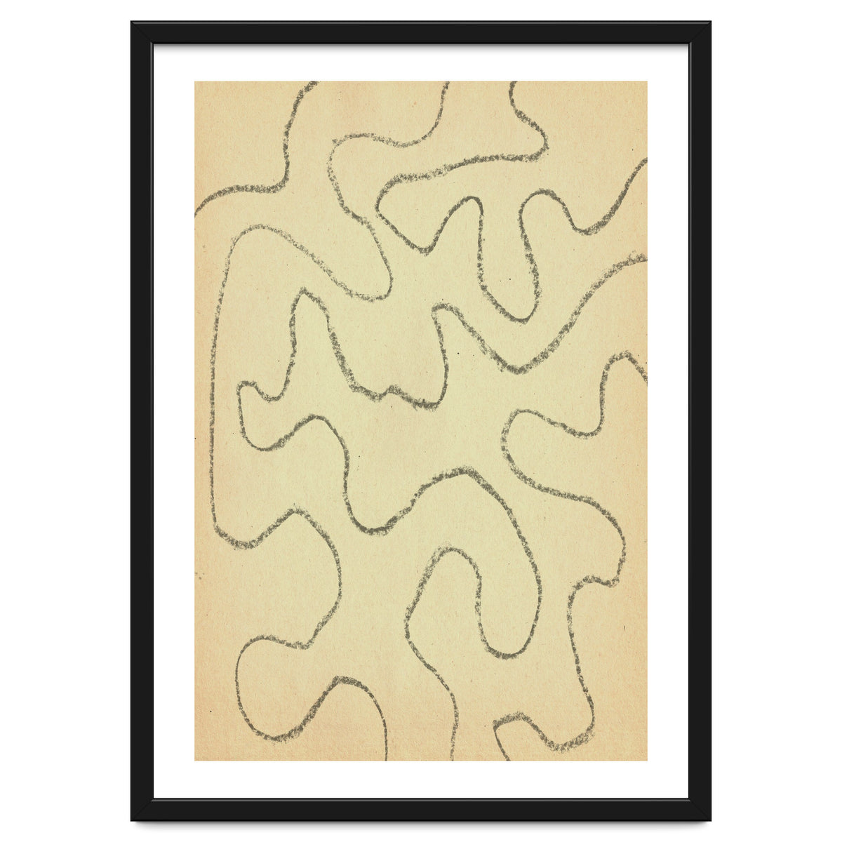 Abstract organic lines