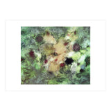 Sediment (Print Only) thumbnail