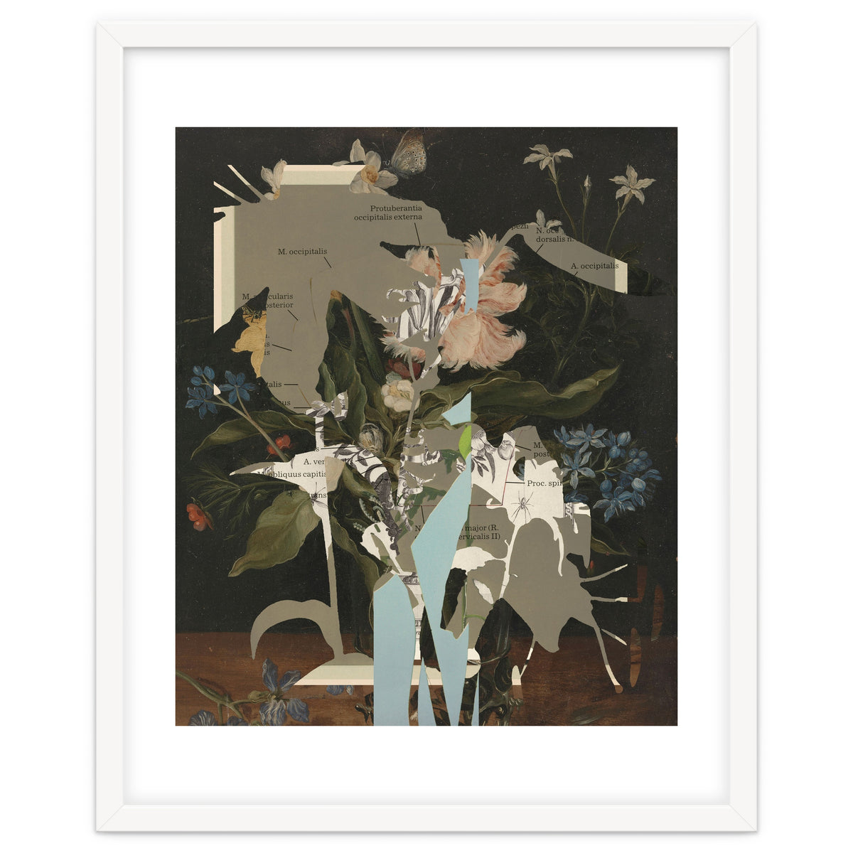 The First Plant · D2