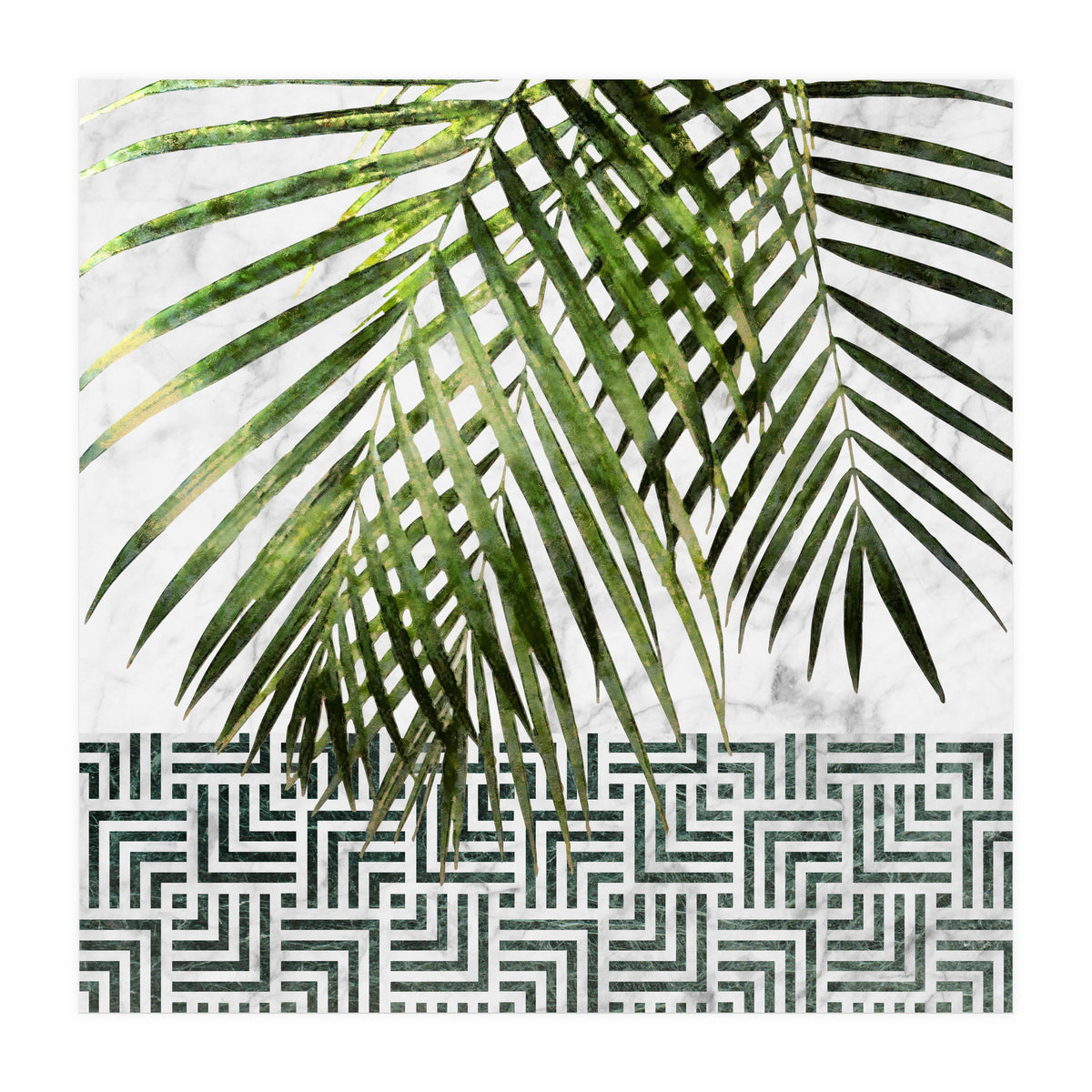 Palm Leaves On White Marble And Tiles (Print Only)