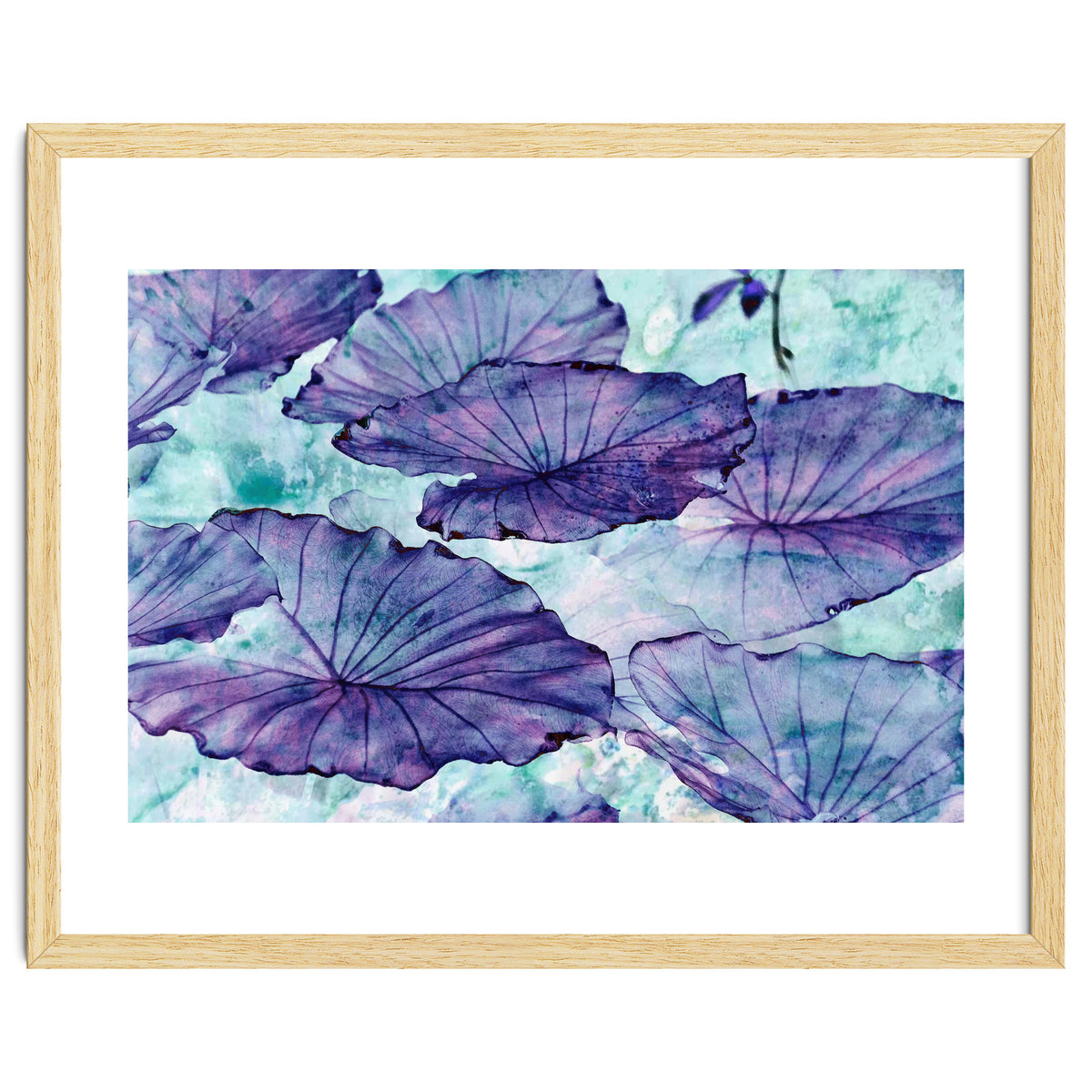 Botanical Surrealism