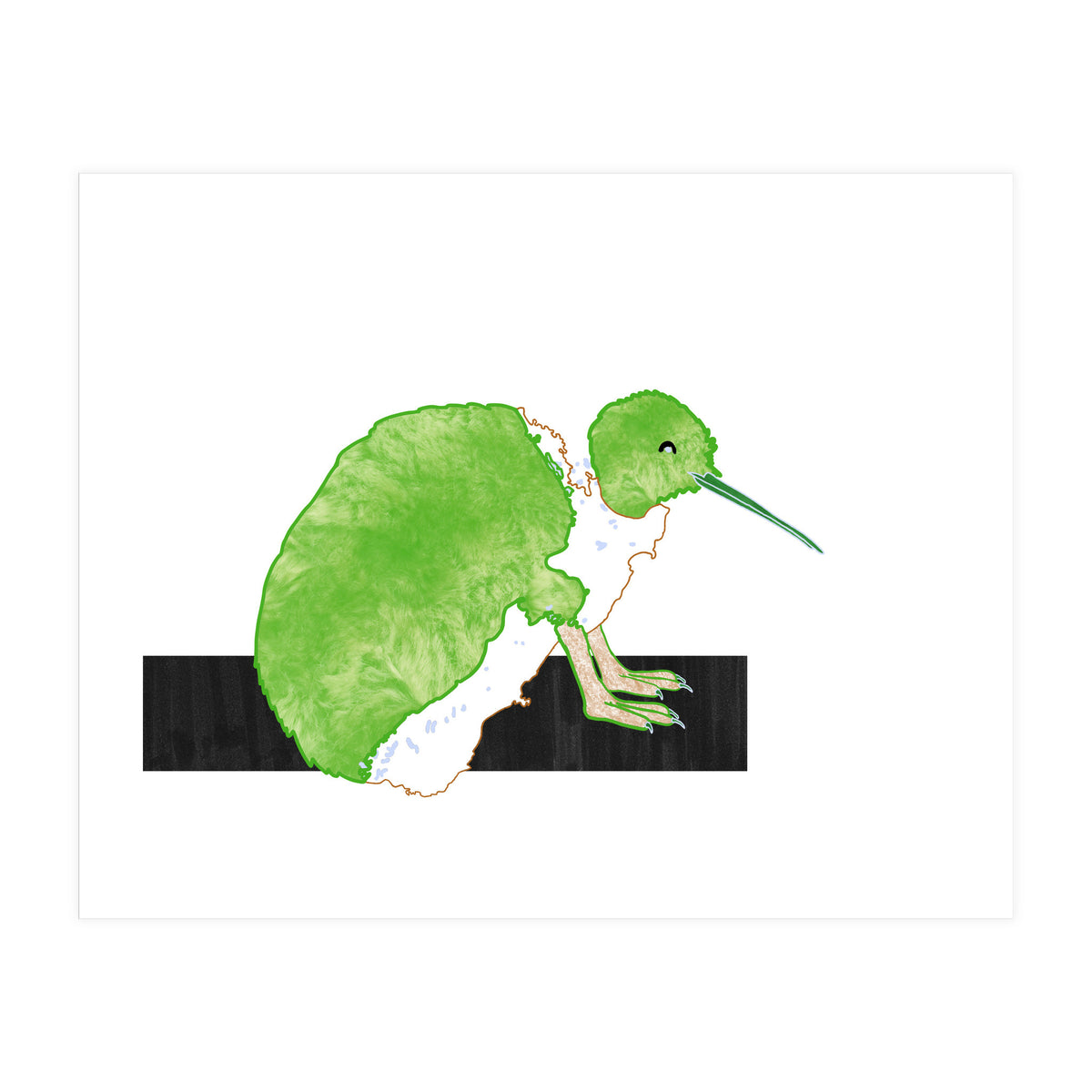 New Zealand Kiwi (Print Only)