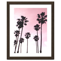 Palms & Sunset