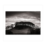Trees in Silhouette (Print Only) thumbnail