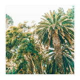 Newport (Print Only) thumbnail