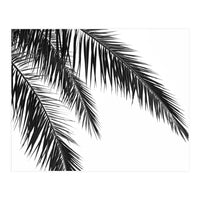 Palm Leaves (Print Only)