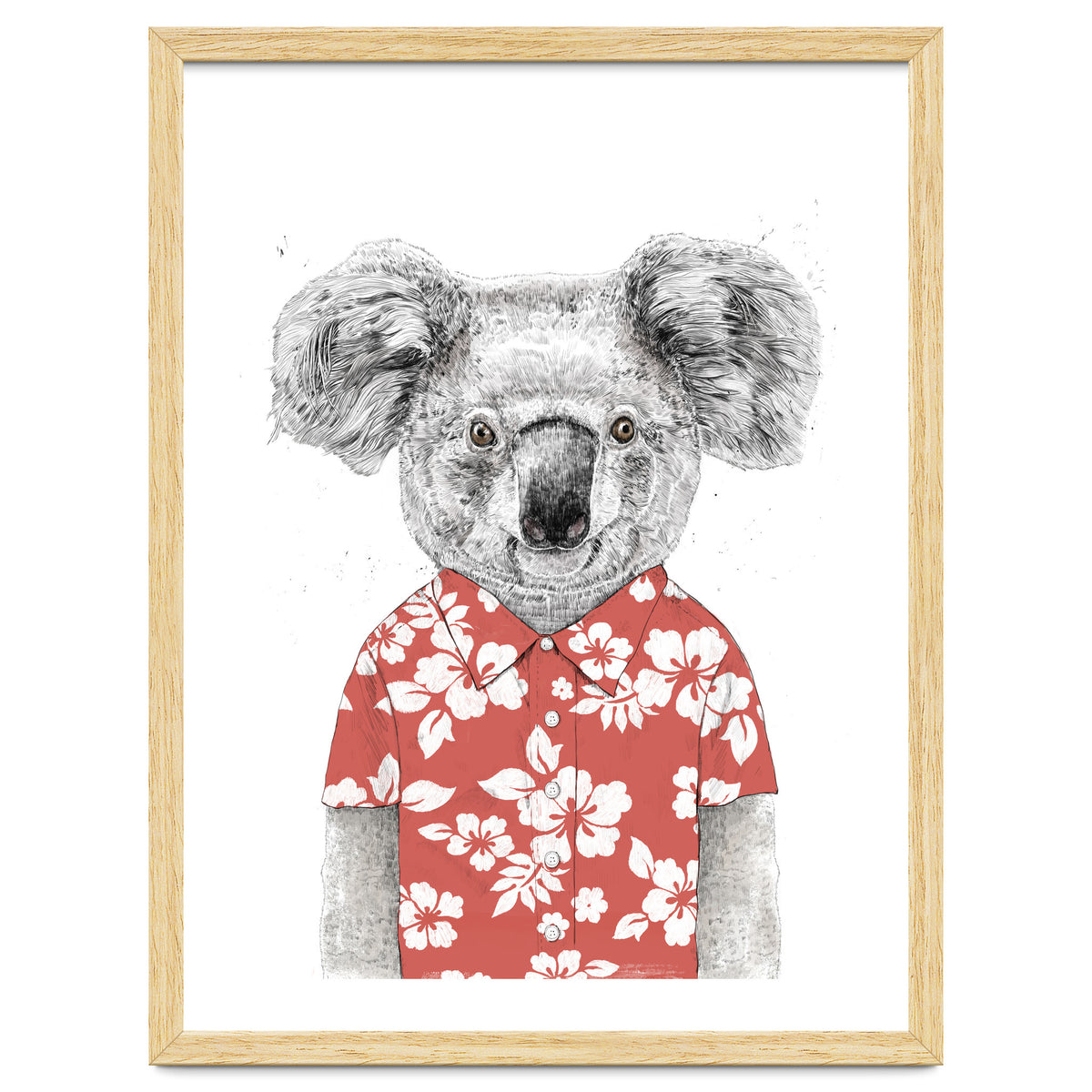 Summer Koala
