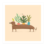 Dachshund And Parrot (Print Only) thumbnail