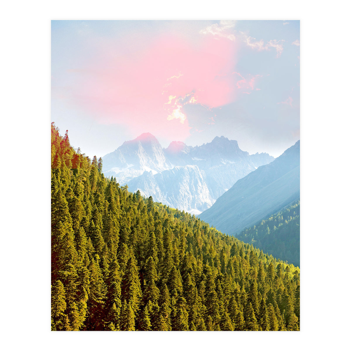 Evergreen (Print Only)