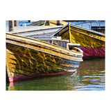 Reflections (Print Only) thumbnail