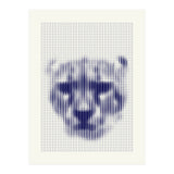 Lioness 2018 (Print Only) thumbnail