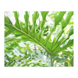 Green Leaf (Print Only) thumbnail