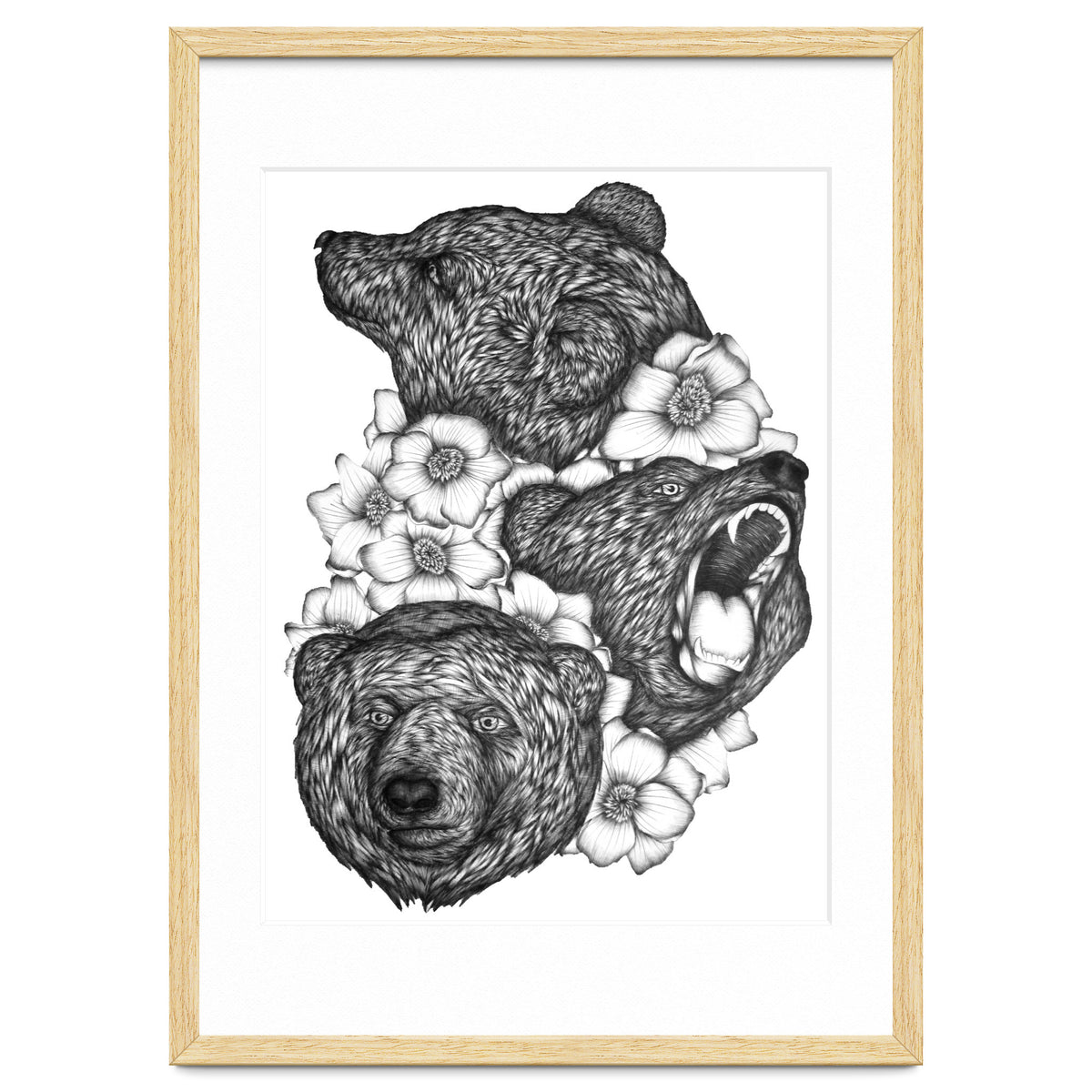 Bears In Bears