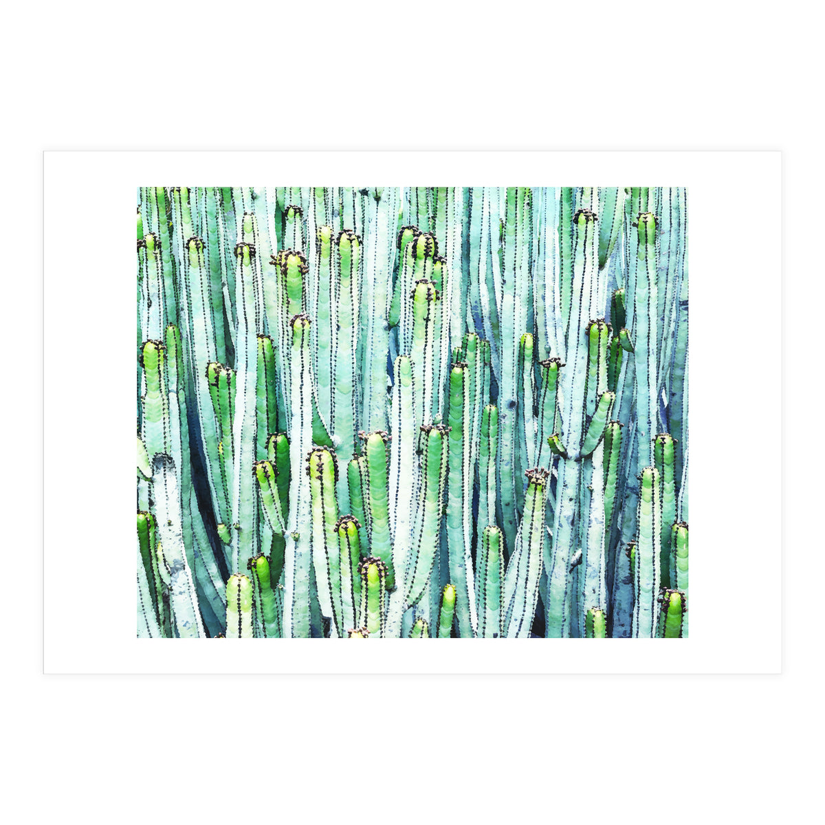 Lost Cactus (Print Only)