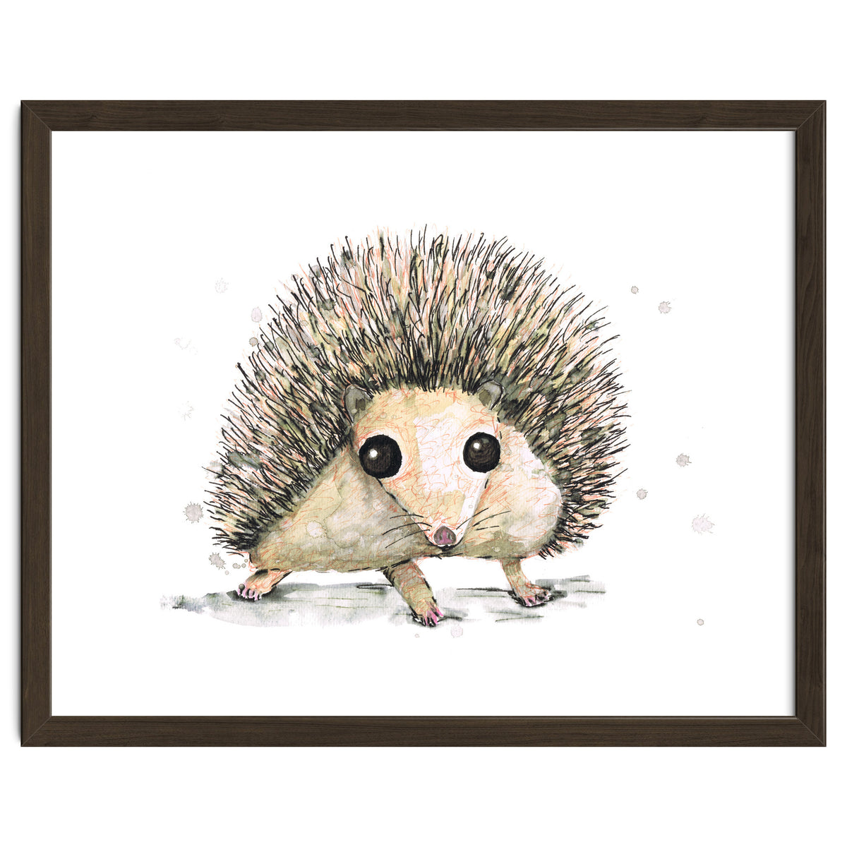 Hedgehog
