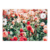 Meadow (Print Only) thumbnail