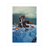 Cameraman (Print Only) thumbnail