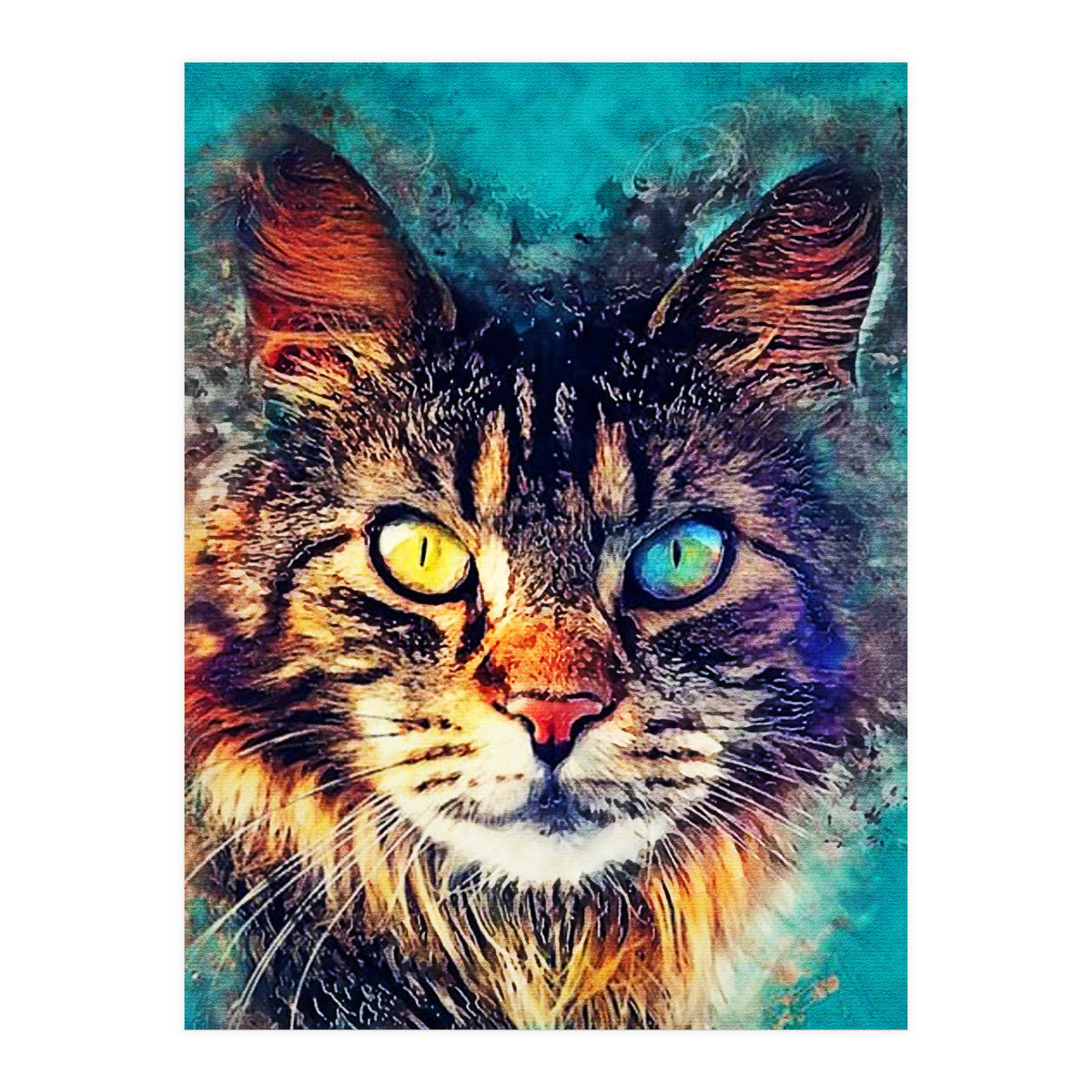 Cat (Print Only)