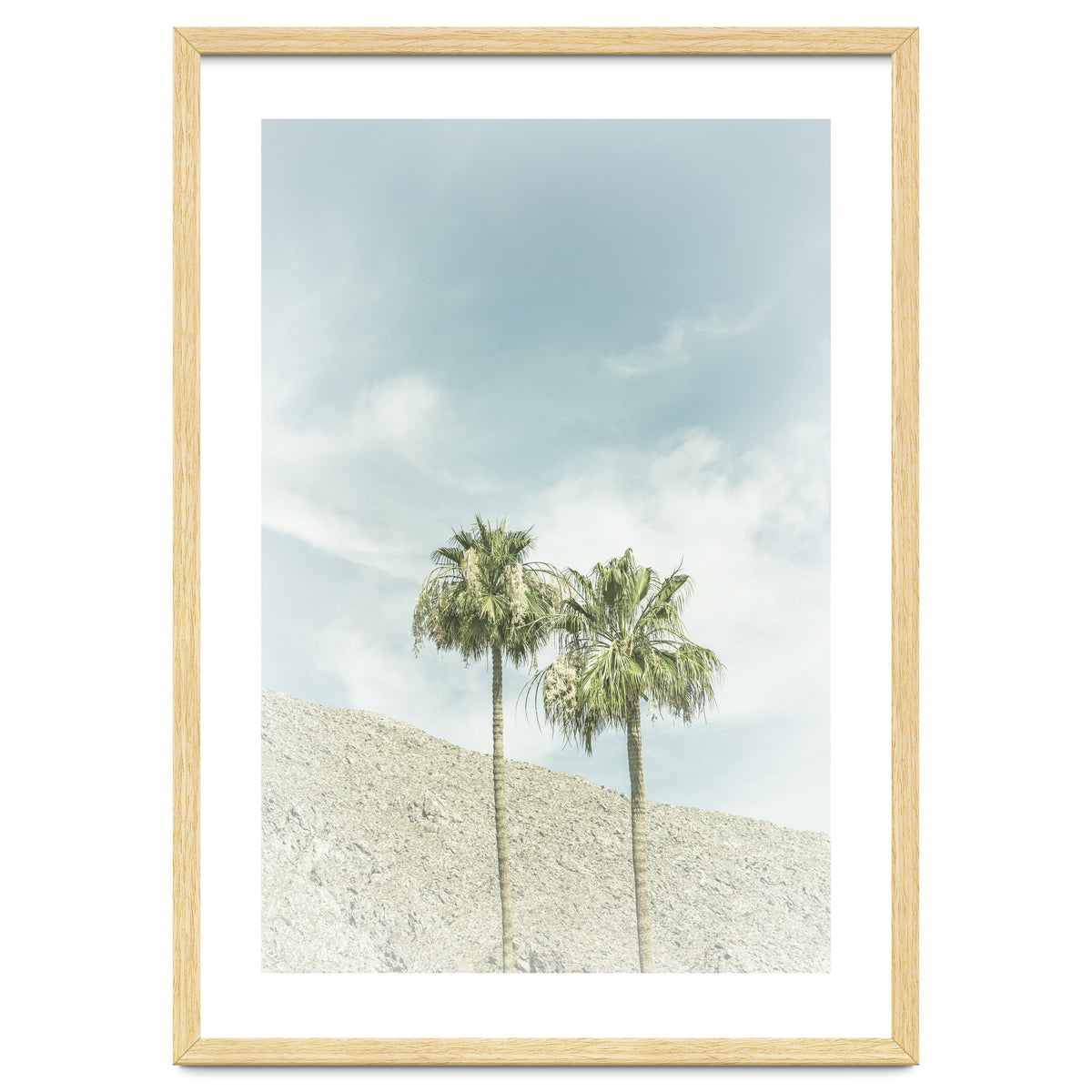 Palm Trees in the desert | Vintage