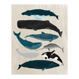 Whales (Print Only) thumbnail
