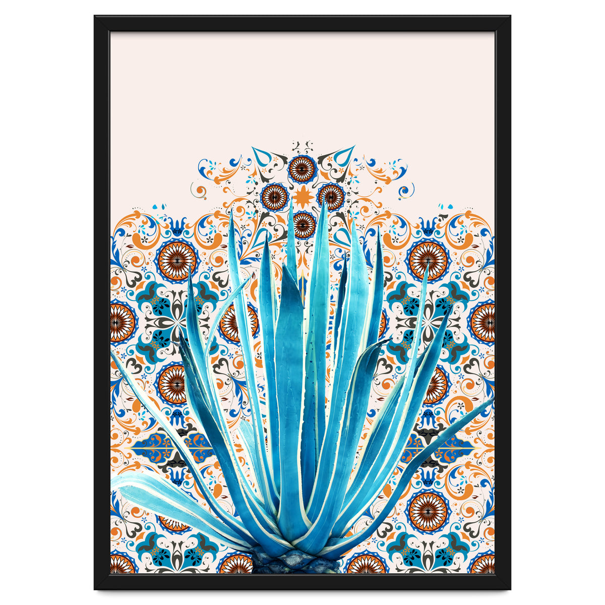 Cactus and Moroccan tiles